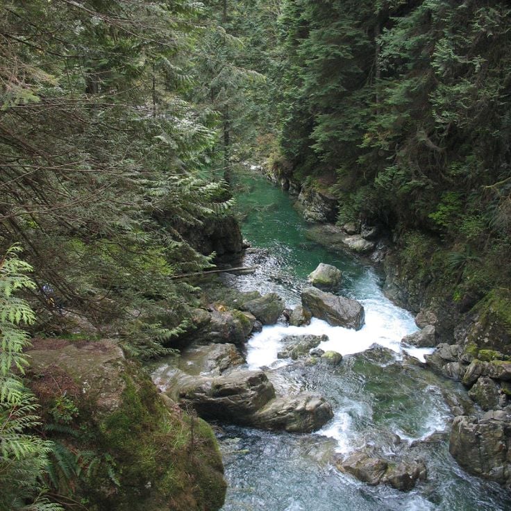 Parc de Lynn Canyon