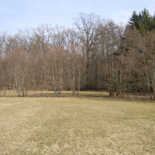 Feuchtbiotop Betteltal