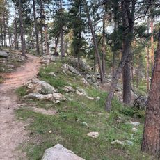 Blackberry Trail