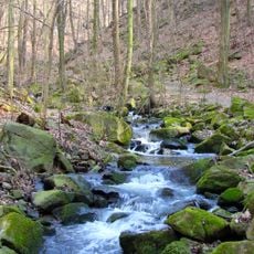 Dresdner Elbtalhänge