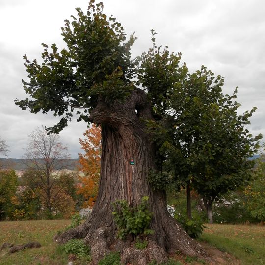 Park pri obecnom úrade