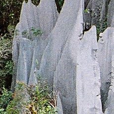Gugung Mulu Ulusal Parkı