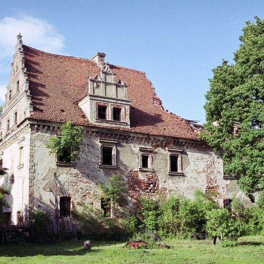 Palace in Dziewin