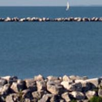 Pelee township