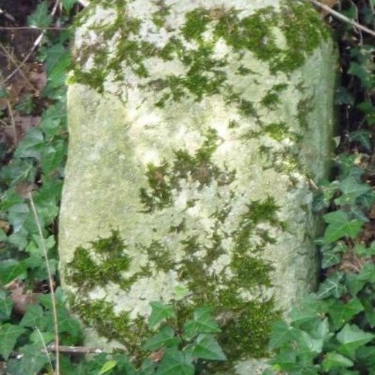 Milestone, S of Tonwell beside footpath on track of old road E of A602