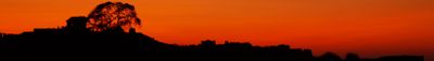 Panoramic View 0