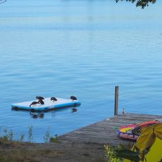 Narrows Island Conservation Reserve