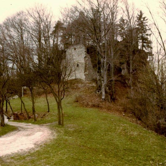 Burgruine Wildenfels