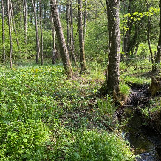 NSG Tenter Bach und Boekerbach