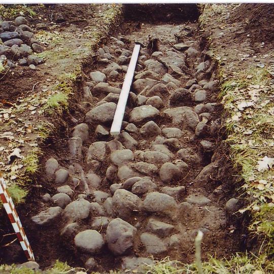 Dubašių senovės žemdirbystės vieta