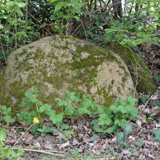 Dolmen von Wittenborn