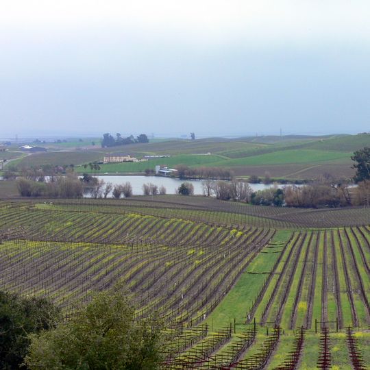 Los Carneros AVA