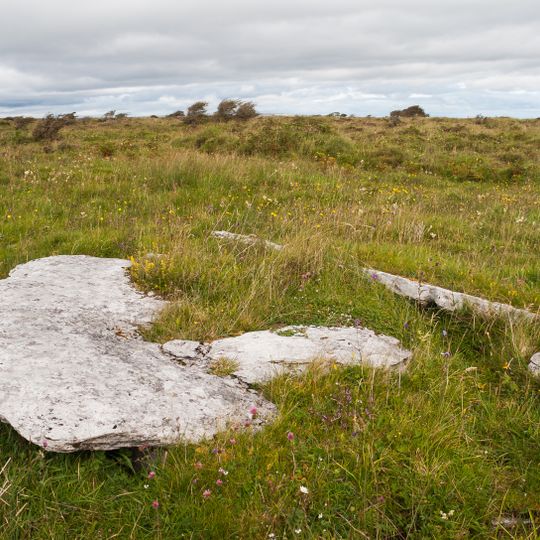 Faunarooska, Rathborney, Wedge Tomb Cl. 3
