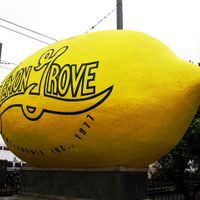 Lemon Grove