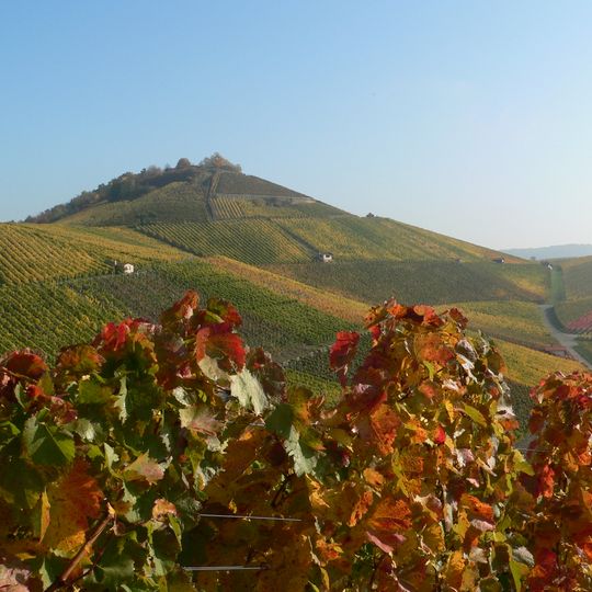 Weinbergstrockenmauern an den Steillagen des Scheuerbergs
