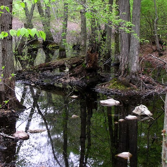 Stony Brook Reservation