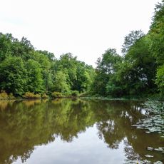 Lake Surprise