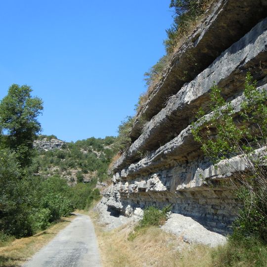 Ripisylve et lit majeur de l'Ardèche
