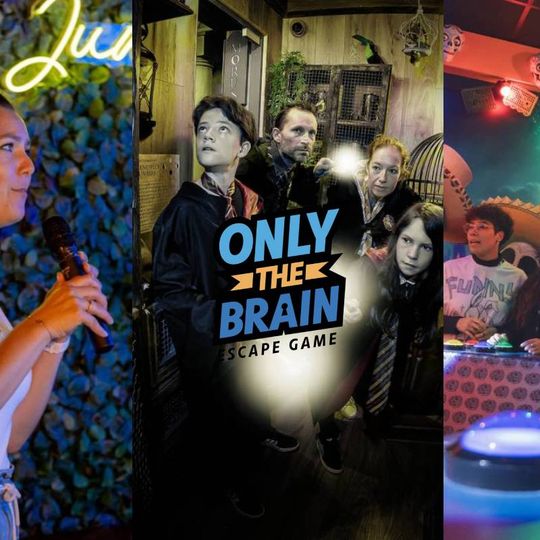 Only The Brain
