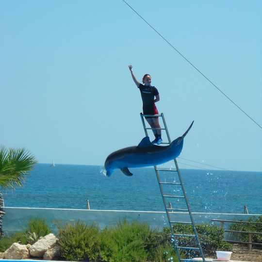 Mediterraneo Marine Park