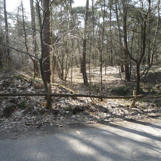 Terrein waarin de overblijfselen van een grafveld, urnenveld en aarden wal