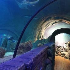 Sea Life Centre, Blackpool