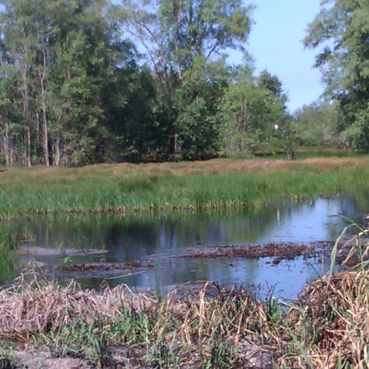 Riserva Naturale Amana