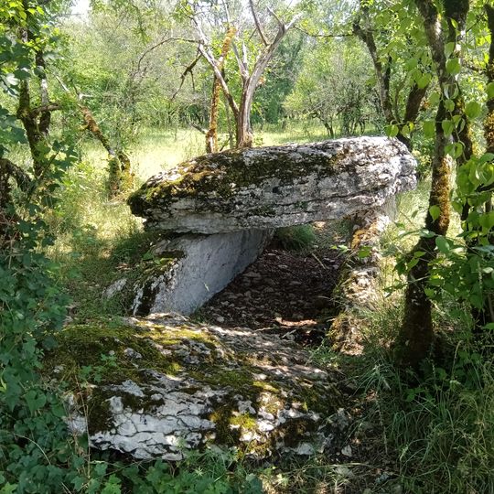 Dolmen de Joncas