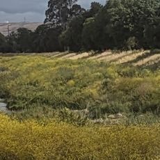 Iron Horse Regional Trail