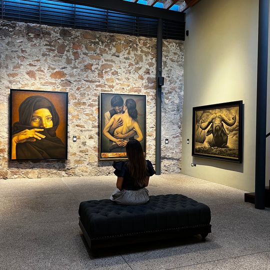 Museo Fundación Santiago Carbonell