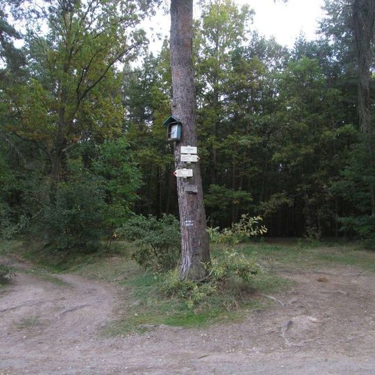 Obrázek západně od Čemin