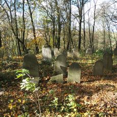 Jewish cemetery in Biała