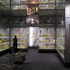 Musée Hunterian