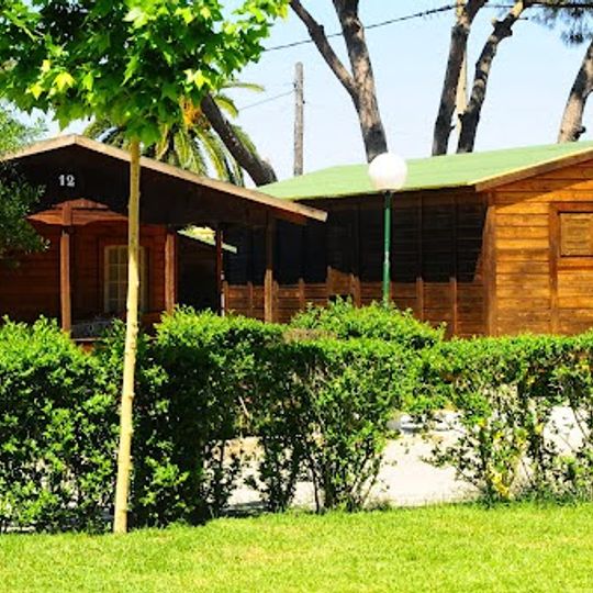 La Rana Verde