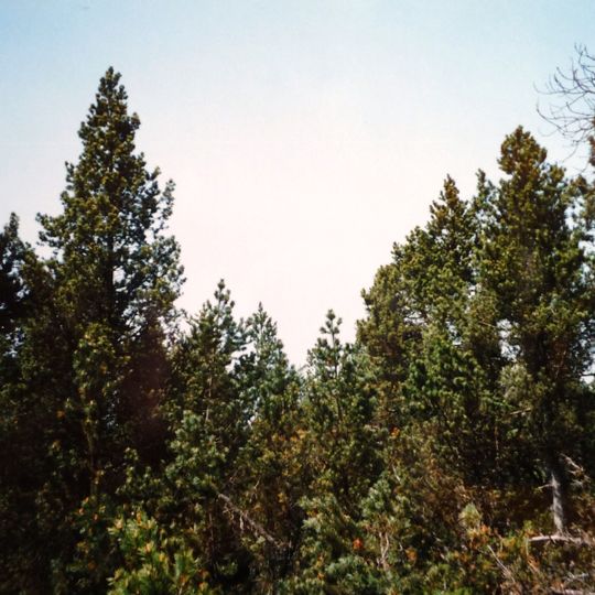 Todtenau und Gföhretwiesen bei Zell