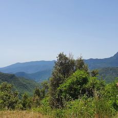 Punto di vista panoramico