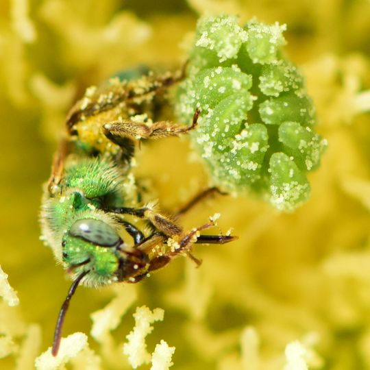 Pathfinder National Wildlife Refuge