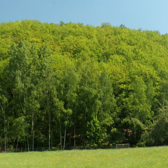 Wilhelmschacht ; Wilhelmschacht I