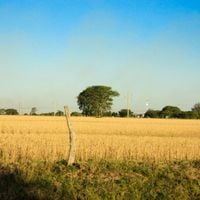 Dipartimento di San Javier