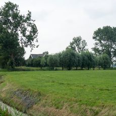 Terrein waarin terp