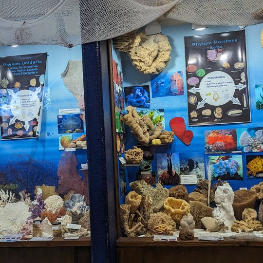 Whale Research EcoExcursions