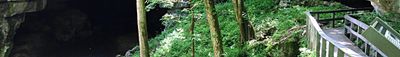 Panoramic View 0