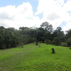 Reserva Nacional Allpahuayo Mishana