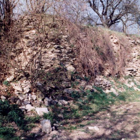 Burgruine Regensberg