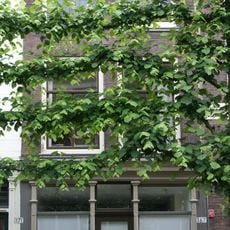 Pand met eenvoudige, verkropte lijstgevel