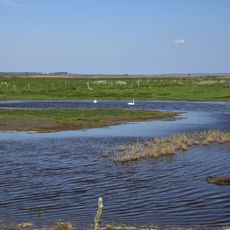 Insel Koos, Kooser See und Wampener Riff