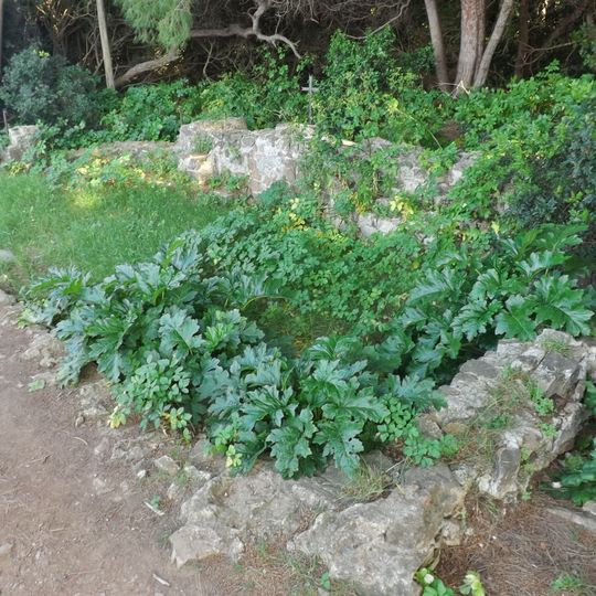 Chapelle Saint-Michel de Cannes