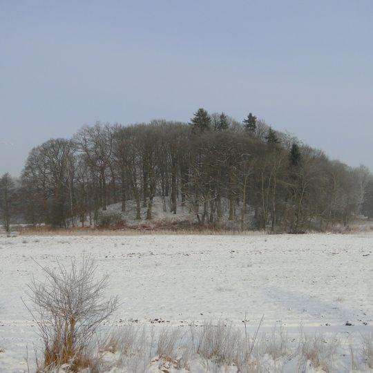 Moorrinne von Klein Salitz bis zum Neuenkirchener See