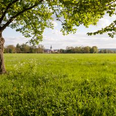 Saalewiesen zwischen Bad Neustadt und Salz