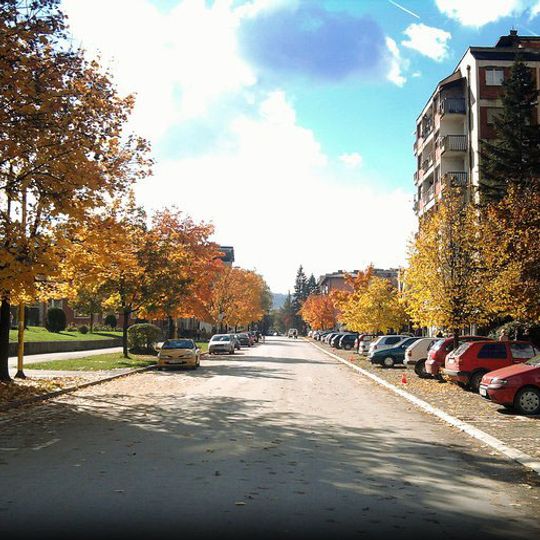 Zavidovići